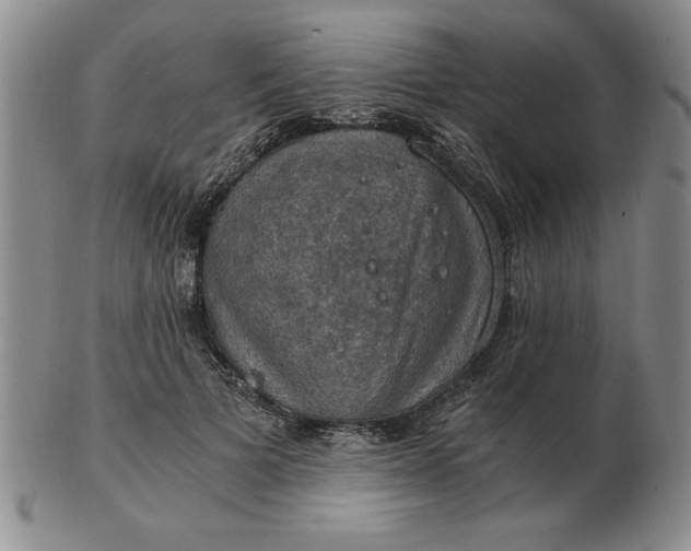 X0000103140697200809051615