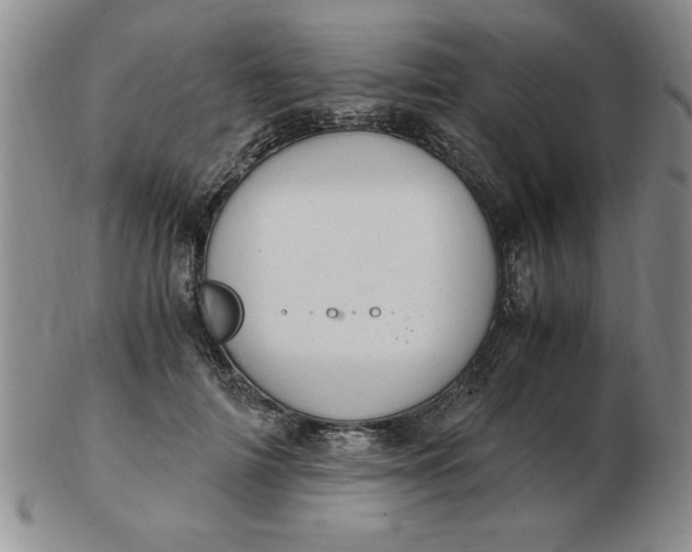 X0000103140698200809051615