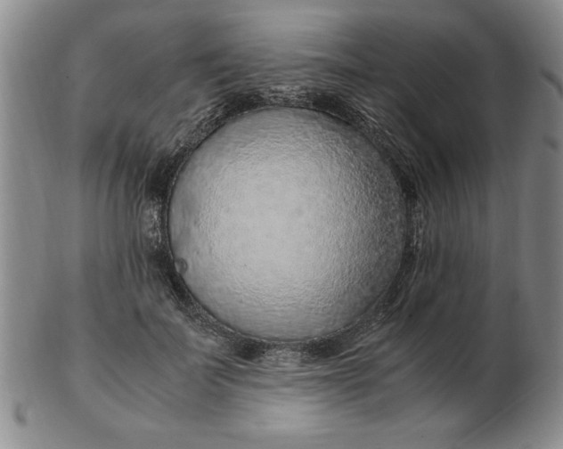 X0000103140699200809051615