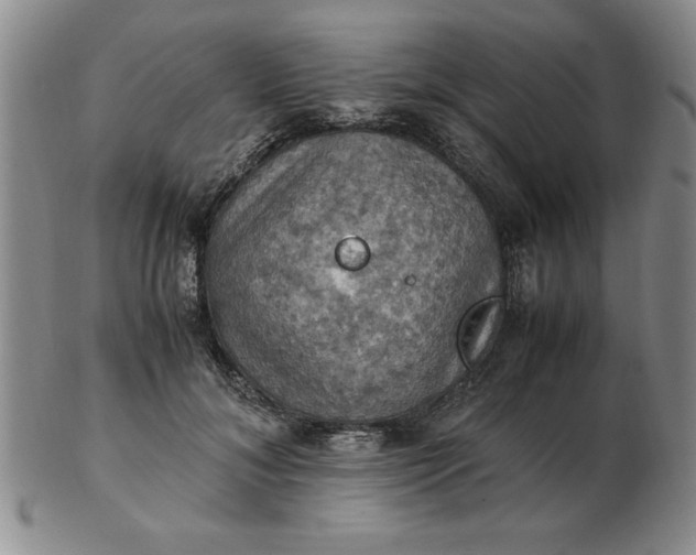 X0000103140700200809051615