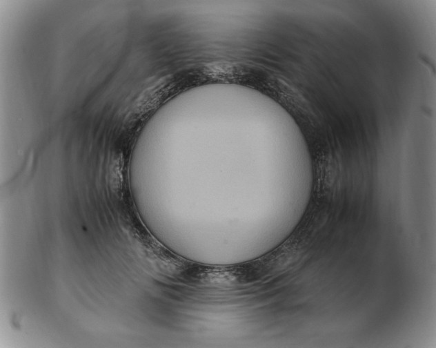 X0000103140702200809051615