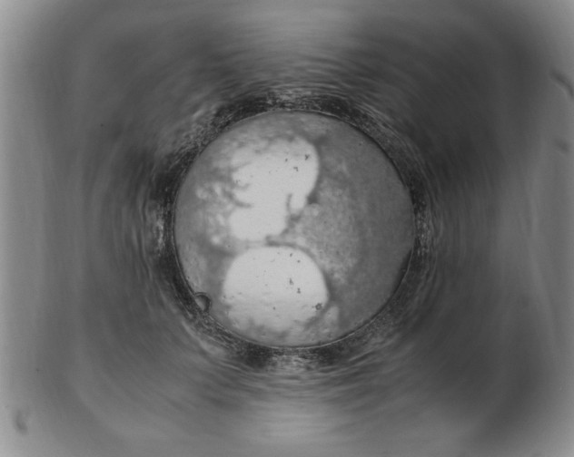 X0000103140703200809051615