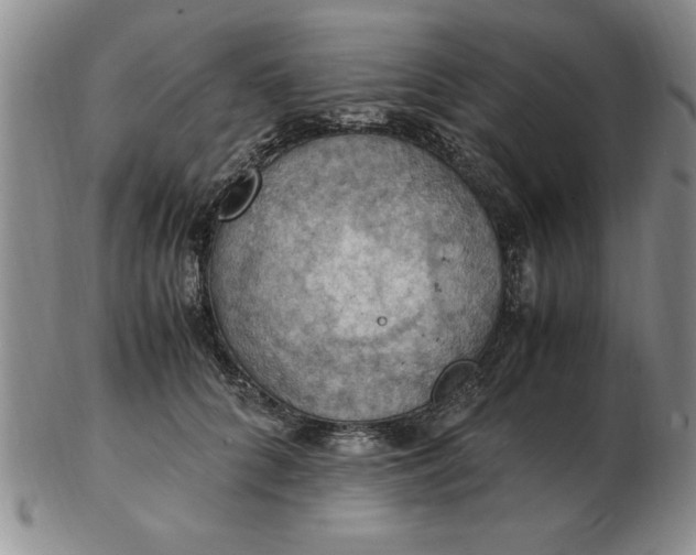 X0000103140704200809051615