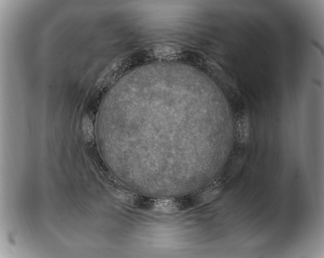 X0000103140705200809051615