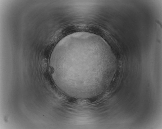 X0000103140707200809051614