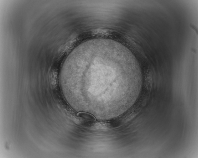 X0000103140708200809051614