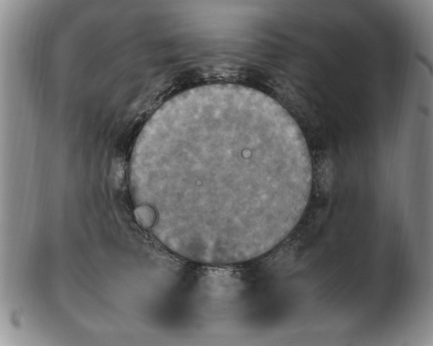 X0000103140709200809051614