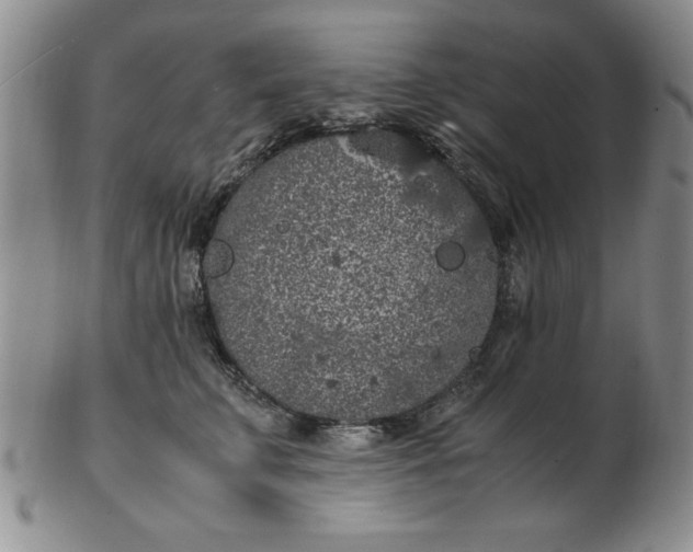 X0000103140711200809051614