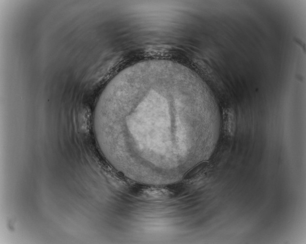 X0000103140712200809051614