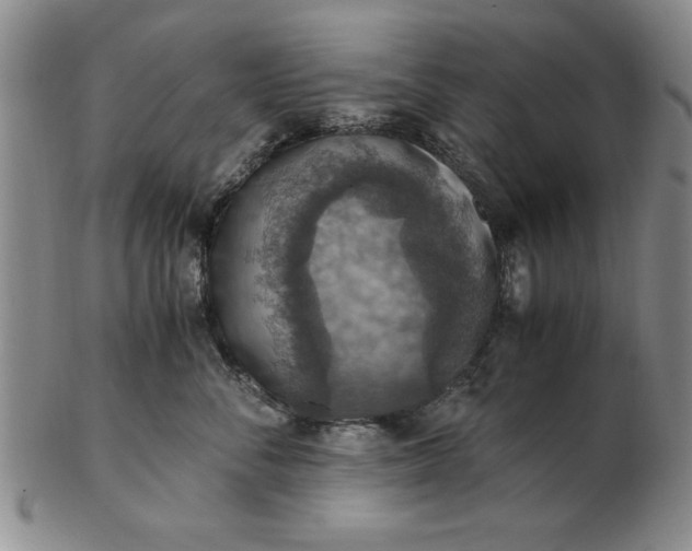 X0000103140716200809051614