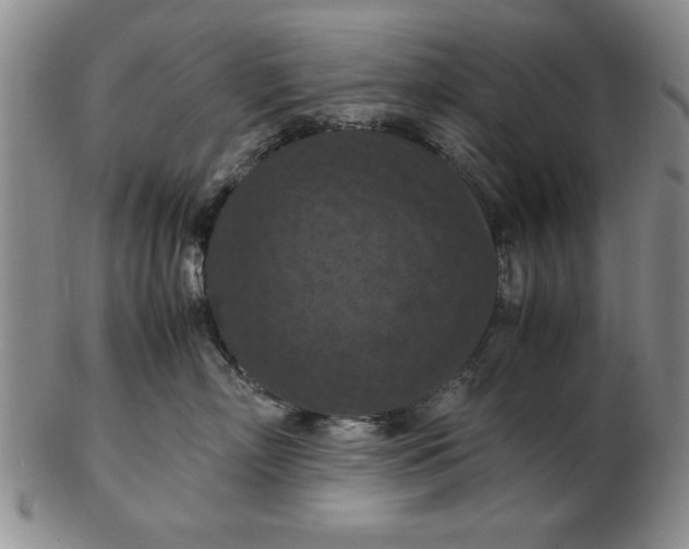 X0000103140718200809051614