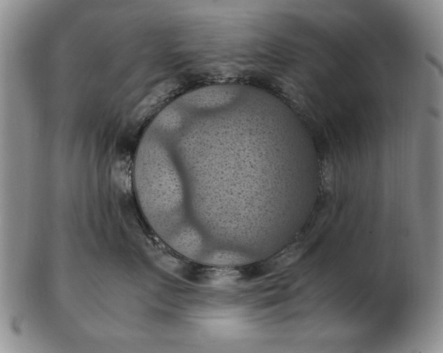 X0000103140719200809051614