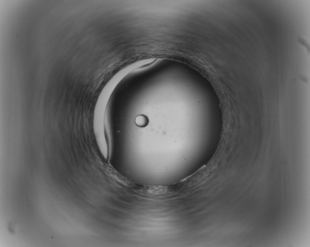 X0000103140720200809051614