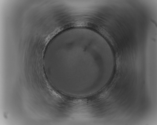 X0000103140721200809051614