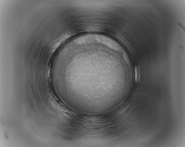 X0000103140723200809051614