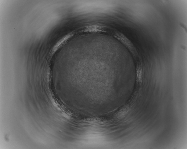 X0000103140724200809051614