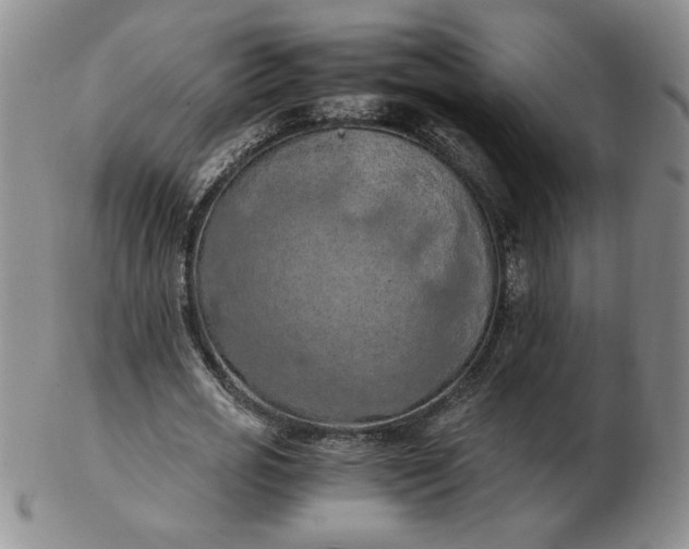 X0000103140725200809051614