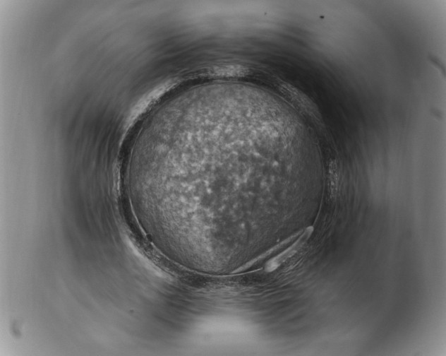 X0000103140726200809051614