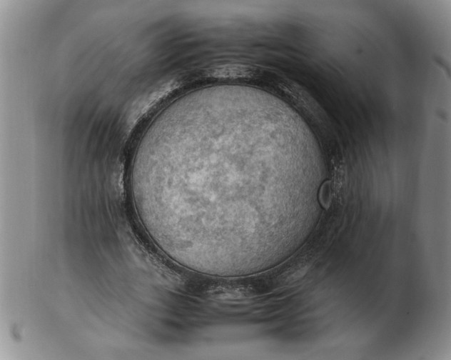 X0000103140727200809051614