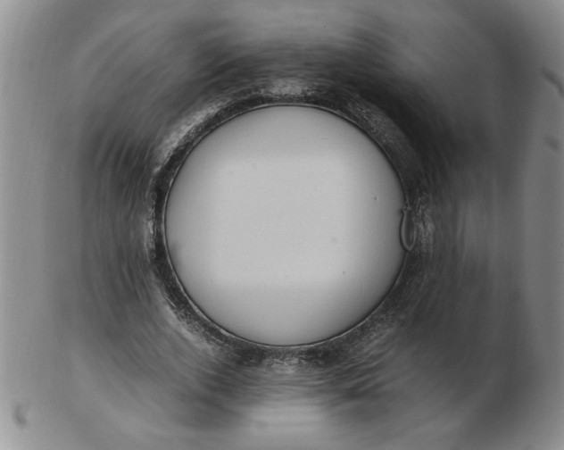 X0000103140728200809051614