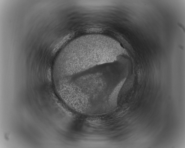 X0000103140729200809051614