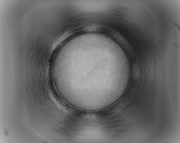 X0000103140730200809051614