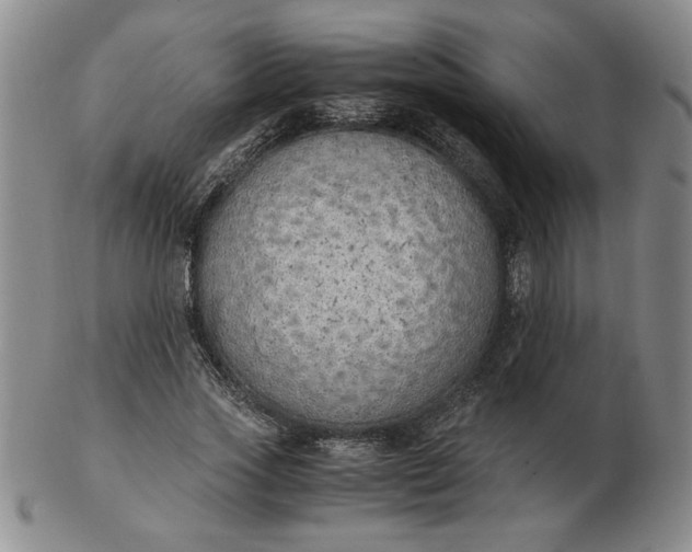 X0000103140733200809051614