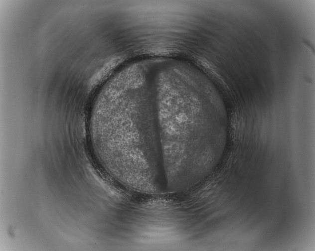 X0000103140734200809051614