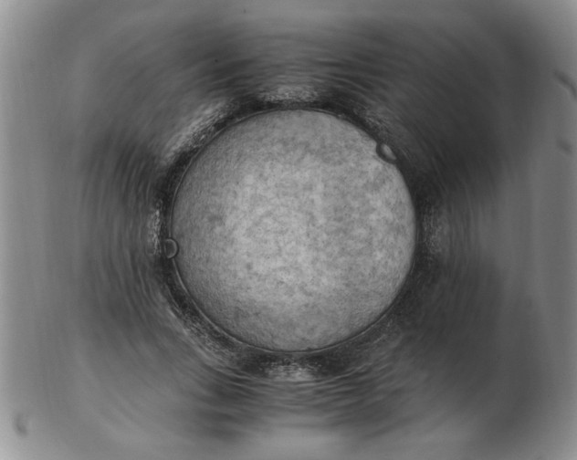 X0000103140735200809051614