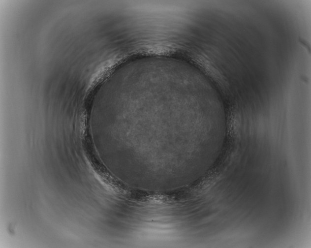 X0000103140736200809051614