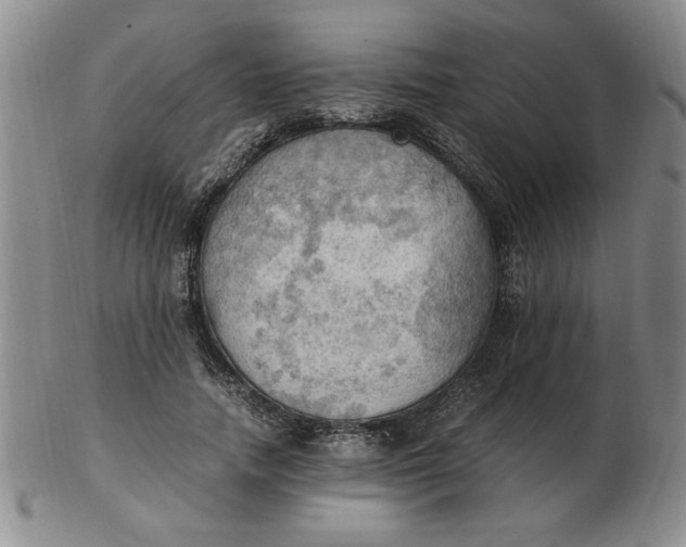 X0000103140738200809051614