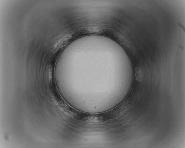 X0000103140740200809051614