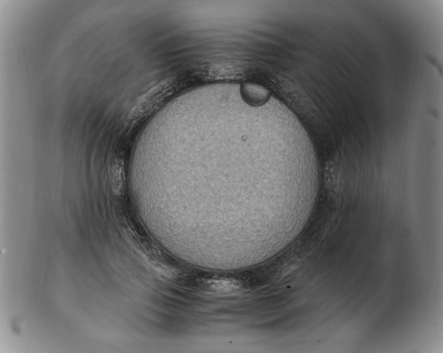 X0000103140741200809051614