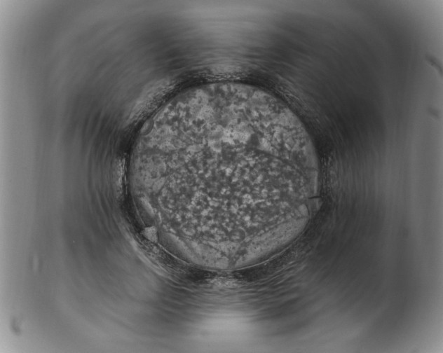 X0000103140742200809051614