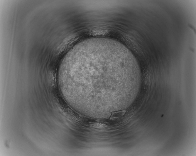 X0000103140743200809051614