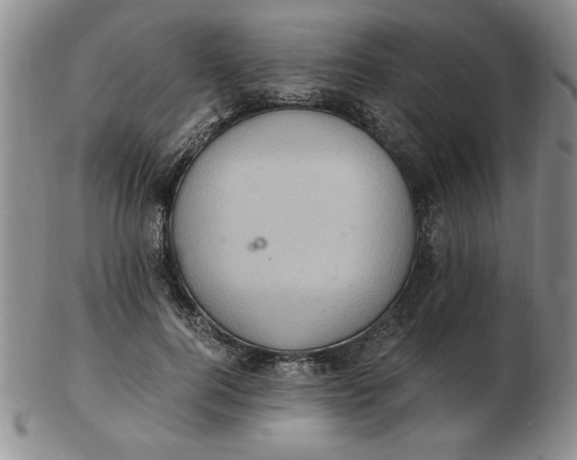 X0000103140744200809051614