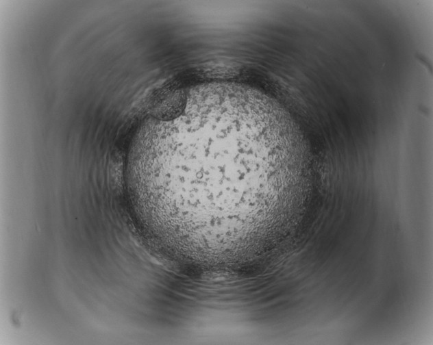 X0000103140745200809051614