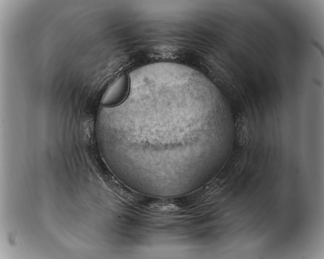 X0000103140747200809051614