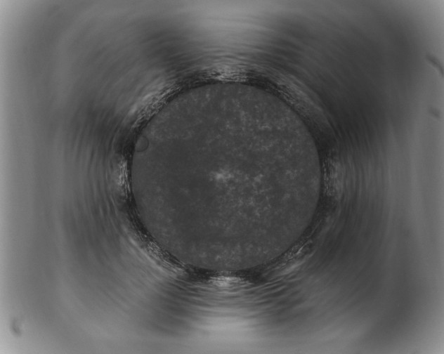 X0000103140748200809051614