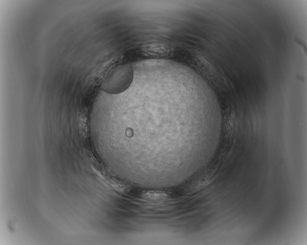 X0000103140749200809051614