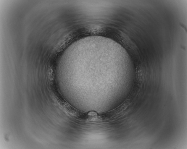 X0000103140750200809051614