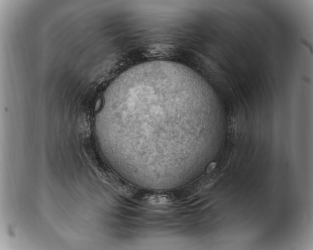 X0000103140751200809051614