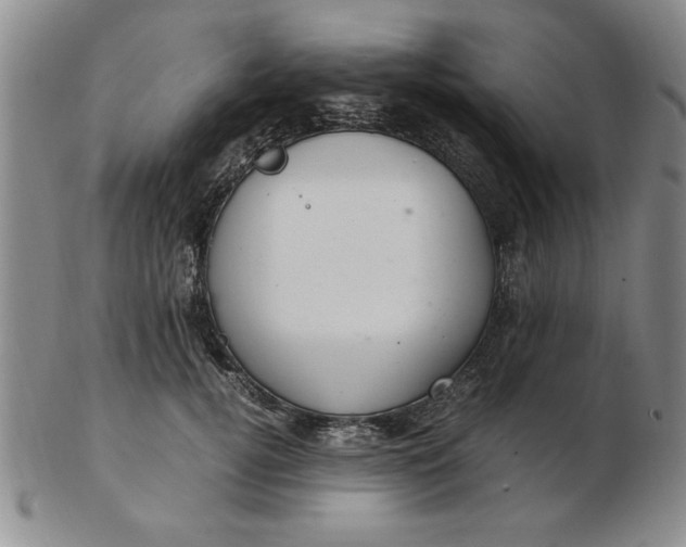 X0000103140752200809051614