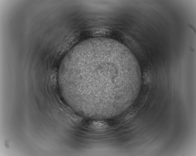 X0000103140753200809051614