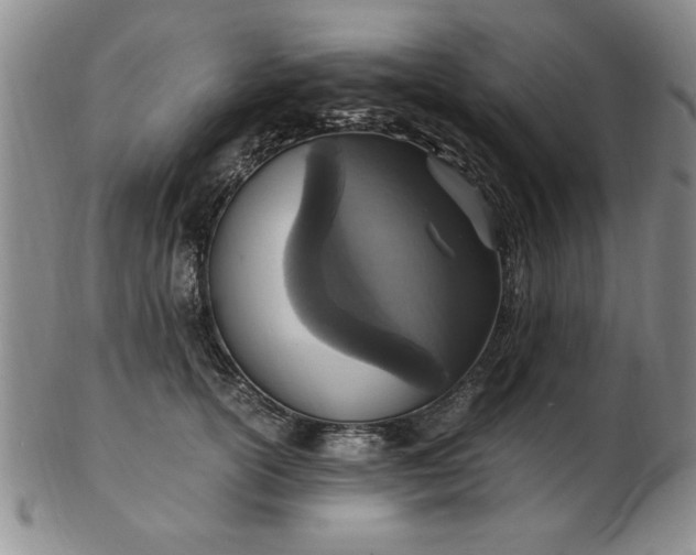 X0000103140754200809051614