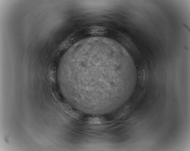 X0000103140755200809051614