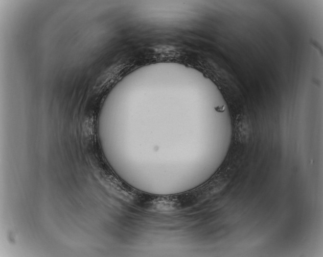 X0000103140756200809051614