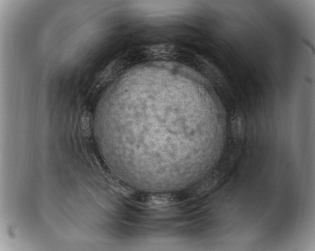 X0000103140757200809051614