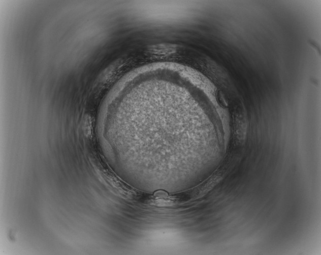 X0000103140758200809051614