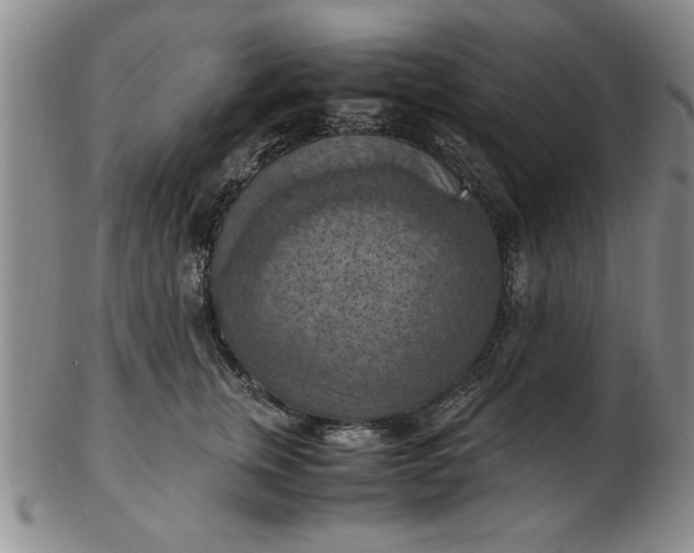 X0000103140759200809051614